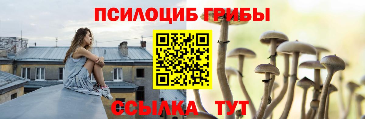 Торжок  Галлюциногенные грибы Psilocybine cubensis  Вход с VPN  Псилоцибиновые грибы мицелий 